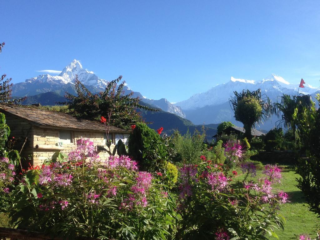 Guest house Annapurna Eco Village 3*